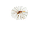 FLOWER — white SET35