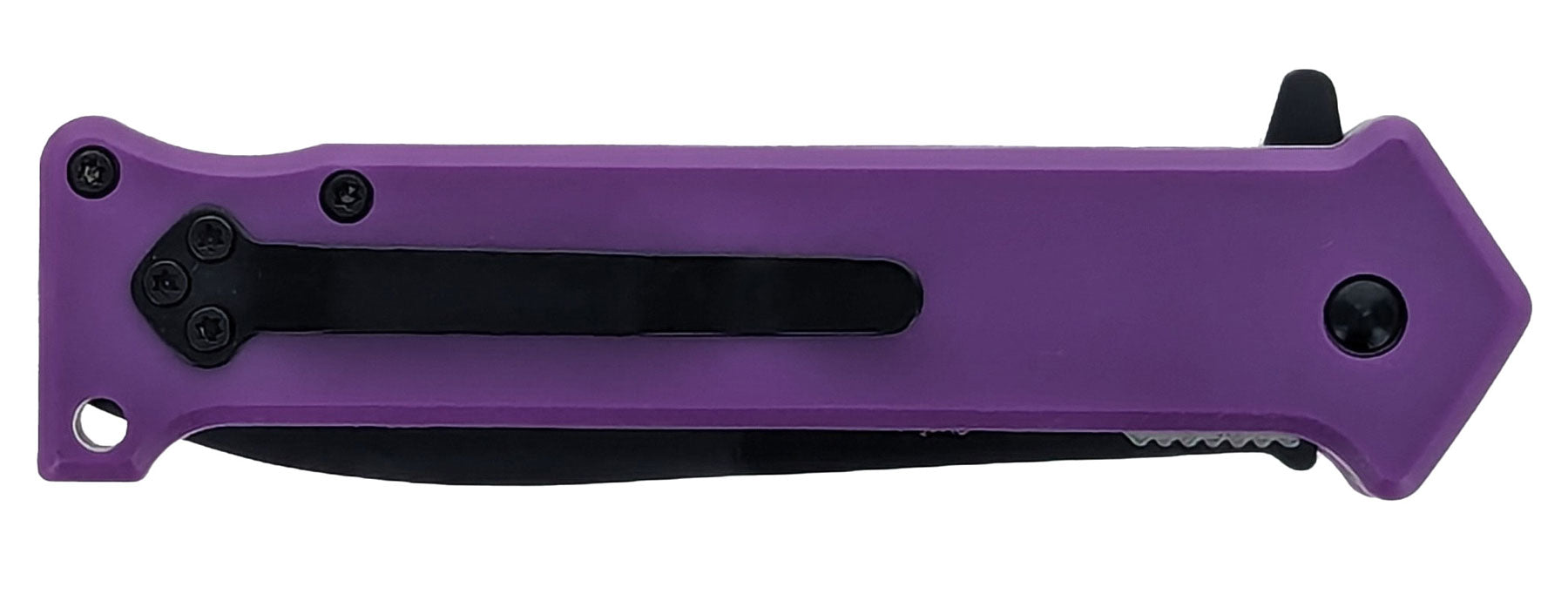 Spring Assisted Dagger Point Pocket Knife with Purple Handle, Pocket Clip & Lanyard Hole, Box Pack