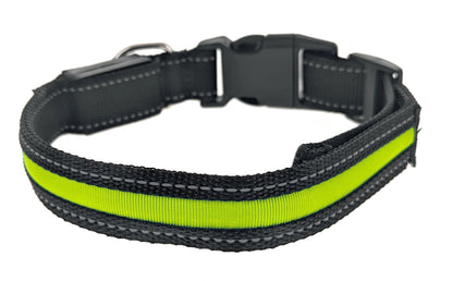 Illuminated Heavy-Duty Rechargeable Collar