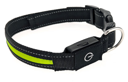 Illuminated Heavy-Duty Rechargeable Collar