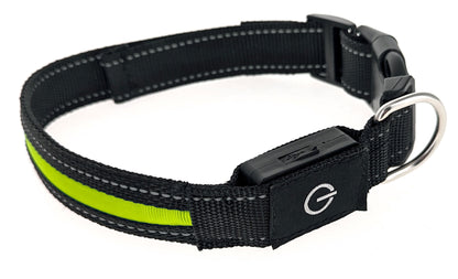 Illuminated Heavy-Duty Rechargeable Collar