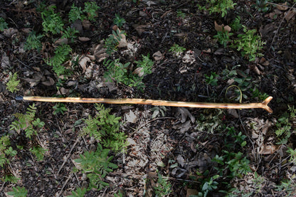 55" Wooden Hiking Stick With V-Yolk Rifle Head, Metal Tip for Better Traction