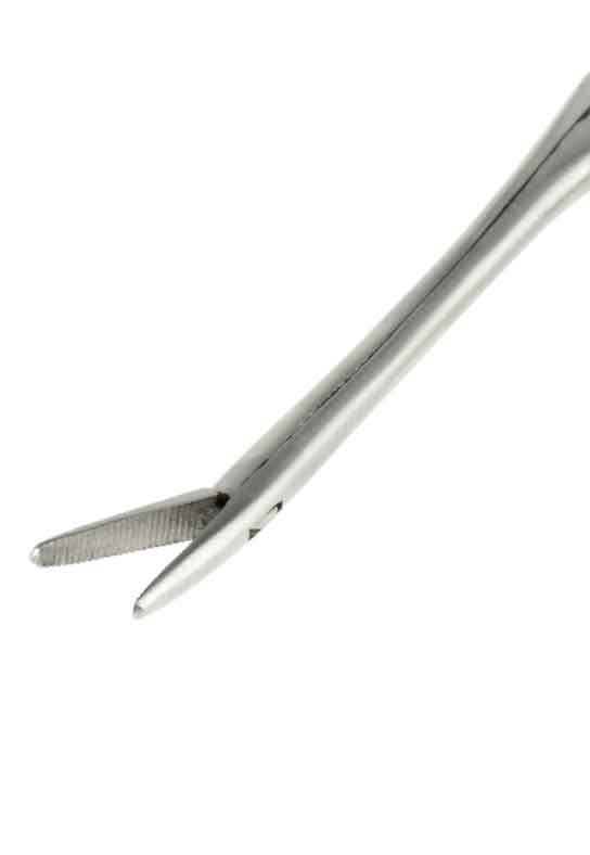 Alligator Forcep - Stainless Steel