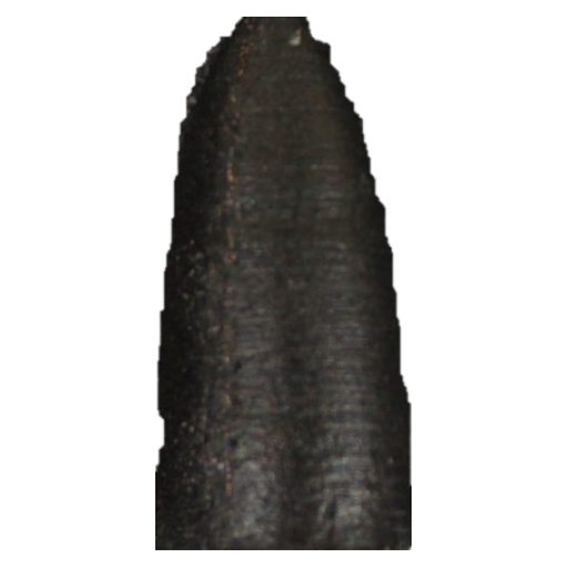 Diamond Pacific Nova point - Bullet, Large - 280 grit