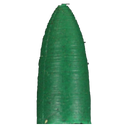 Diamond Pacific Nova point - Bullet, Large - 60 grit