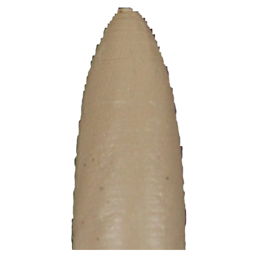Diamond Pacific Nova point - Bullet, Large - 8,000 and 14,000 grit